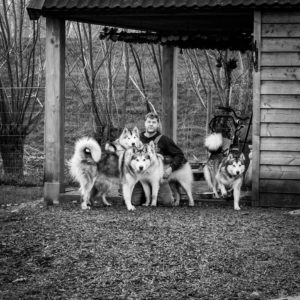 team inuas voice alaskan malamutes