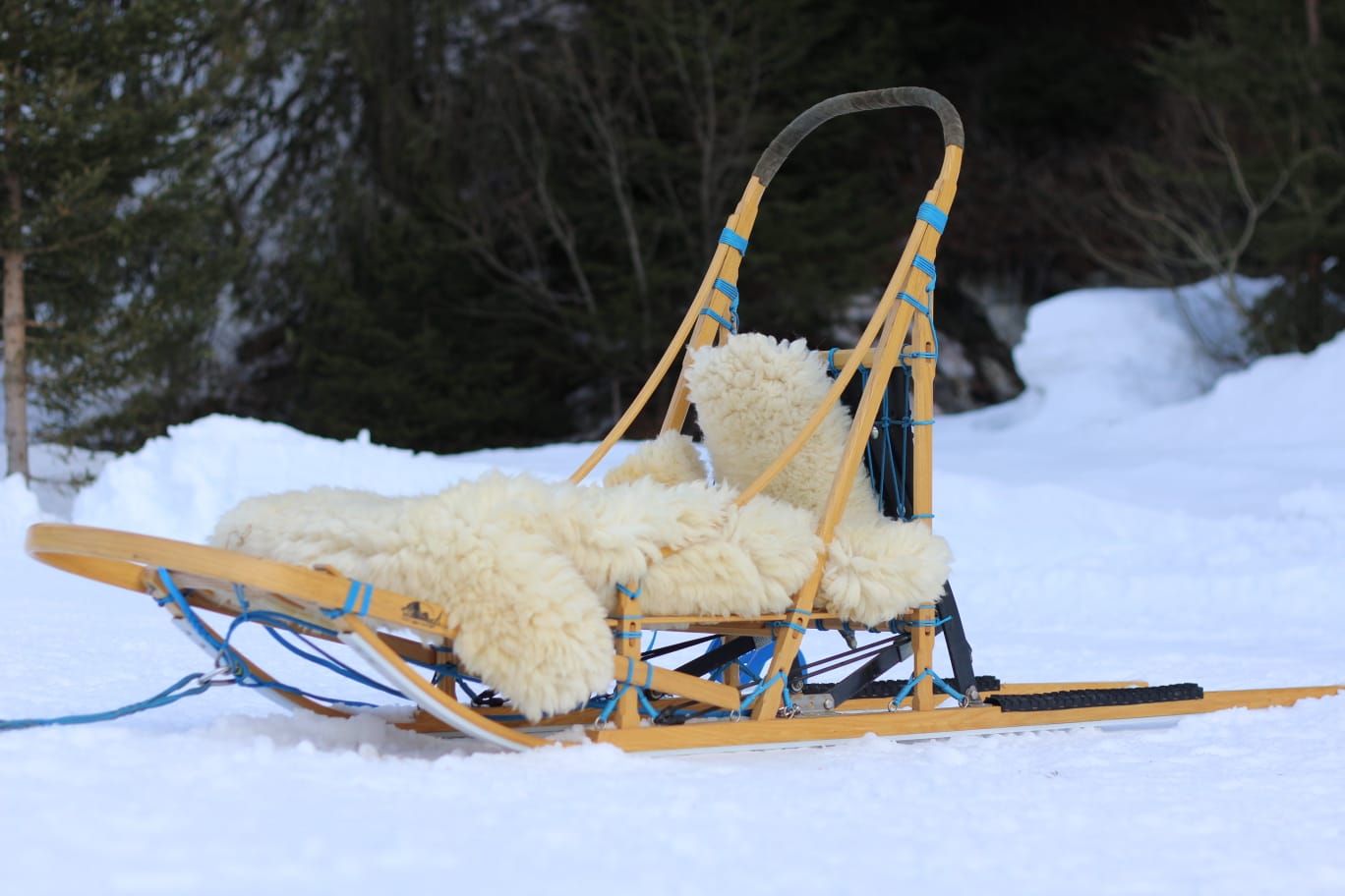 van Noort wooden sled/ houten honden slee Inua's Voice Malamute kennel Husky, sledehond sleddog