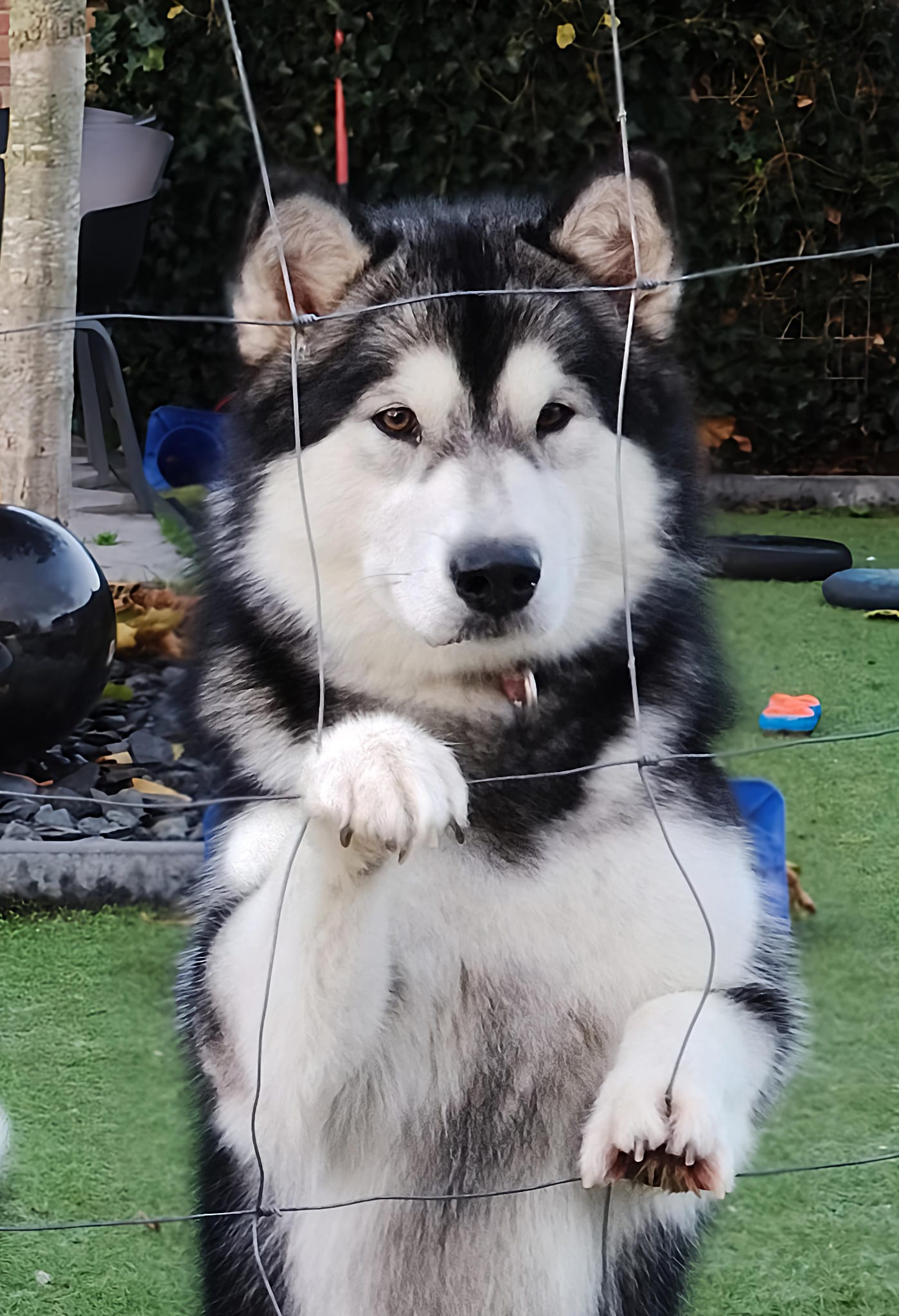 WhatsApp Image 2025-11-03 at 19.08.43